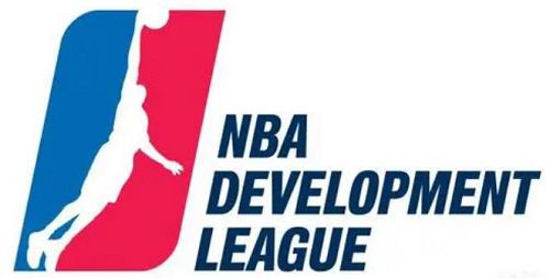  NBA格斗达人詹姆斯-约翰逊：篮球场上的不败战士